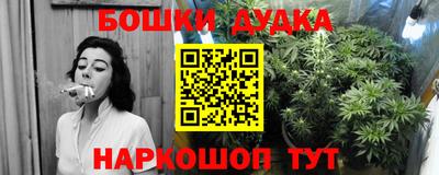 СК Краснодар