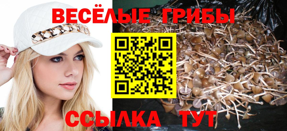 Ипатово  Псилоцибиновые грибы прущие грибы  Вход с VPN  Псилоцибиновые грибы мухоморы 