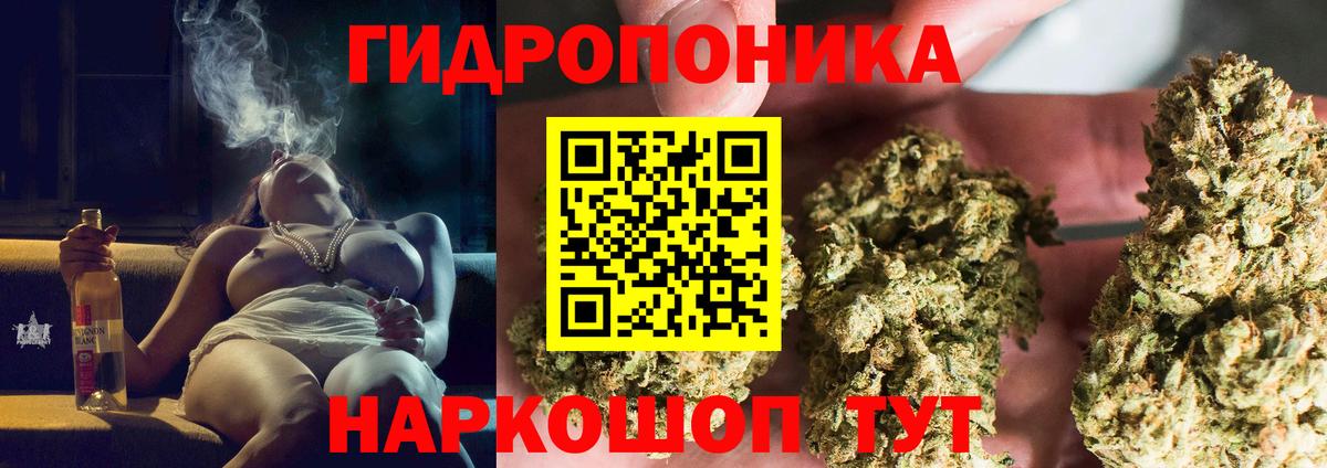 Канабис сатива Ипатово